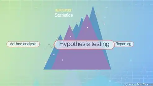 数据挖掘领域的利器，揭秘数据挖掘分析软件的奥秘，数据挖掘的分析软件是什么