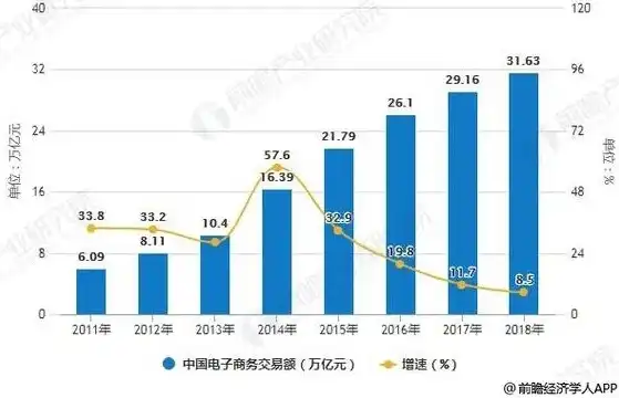 电子商务的现状与未来，数字化转型浪潮下的无限可能，电子商务的现状和未来发展