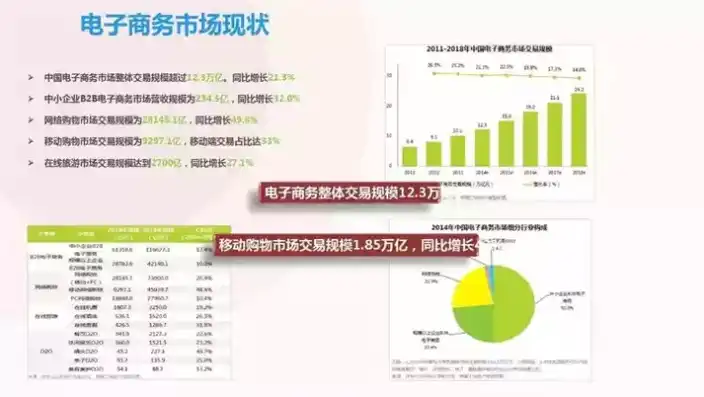 电子商务的现状与未来，数字化转型浪潮下的无限可能，电子商务的现状和未来发展