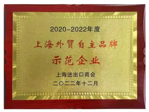 匠心独运，品牌赋能——上海领先品牌网站建设公司解析，上海品牌网站建设公司有哪些