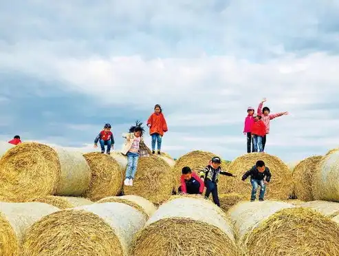 三亚网站建设，打造独具特色的旅游网络平台，助力三亚旅游产业发展