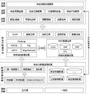 深入解析林业网站源码，技术架构、功能模块与优化策略，林业网站源码是什么