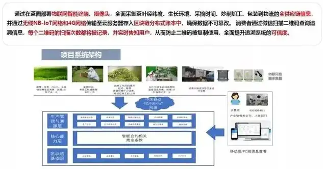 深入解析林业网站源码，技术架构、功能模块与优化策略，林业网站源码是什么