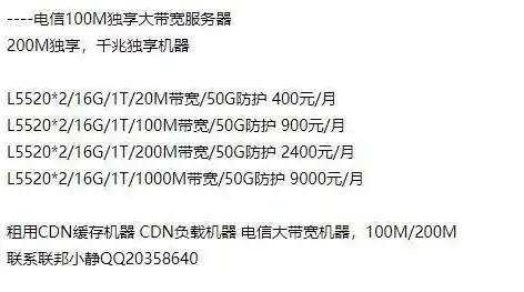 深度解析，10G带宽服务器租用的优势与选择指南，十兆带宽服务器租一年多少钱