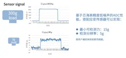 深度解析，压力测试全面解析，揭秘其测试内容与目的，压力测试项目