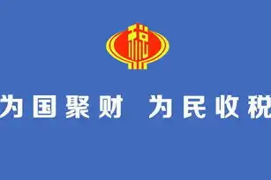 揭秘税务网站源码，探寻我国税务信息化建设之路，税务网站内容与界面基本规范