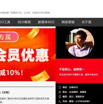 全方位解析，如何通过SEO推广服务提升网站流量与排名，seo推广效果怎么样