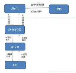 揭秘实力SEO网络优化吧，打造网站流量巅峰的秘诀解析，实力seo网络优化吧官网