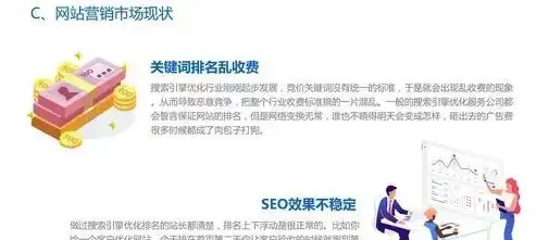 深入解析厦门SEO官网，优化策略、实战案例及未来发展展望，厦门seo公司