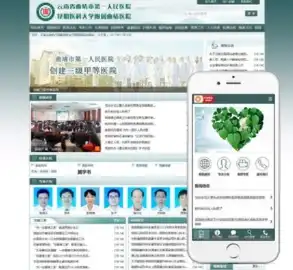 深入解析医院网站源码ASP，功能与优化的全面探讨，医院网站系统源码