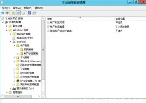 深入剖析Windows服务器安全策略，全方位保障系统安全，服务器安全策略设置