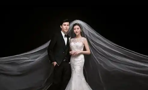 倾心之作，独家揭秘婚纱照展示网站源码，打造浪漫视觉盛宴，婚纱照网站模板