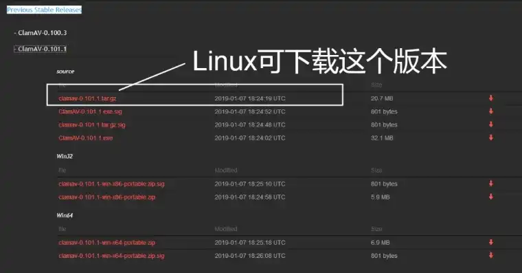 阿里云Linux服务器安装与配置全攻略，阿里云怎么安装linux服务器配置软件