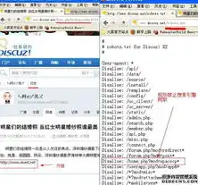 网站SEO全方位解析，内容优化、技术优化、外链优化一网打尽，网站seo包括哪些类型