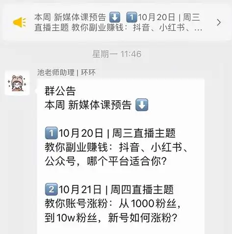 揭秘自动往复伸缩杆，工作原理与巧妙设计，自动往复伸缩杆工作原理是什么呀视频