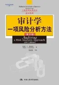 深入剖析安全审计的详细方法，全面保障信息安全，安全审计的详细方法是什么