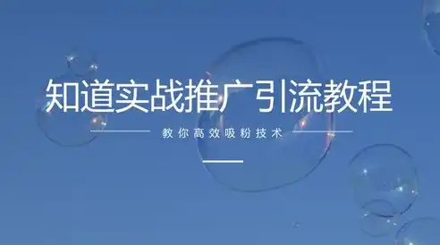 揭秘三沙SEO公司青睐火星背后的秘密，高效优化，领跑行业！，三沙网络推广公司