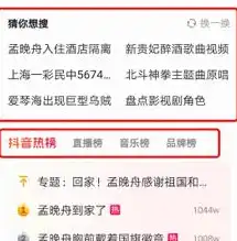 揭秘关键词密度多少号，优化SEO的秘诀，在线文章关键词密度查询