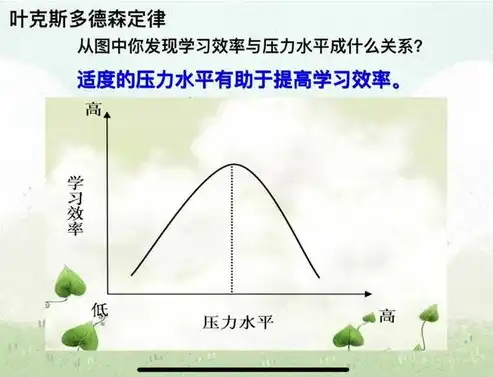 透过视觉，解读压力大小，探寻心灵平衡之道，测试压力是否大的图片大全