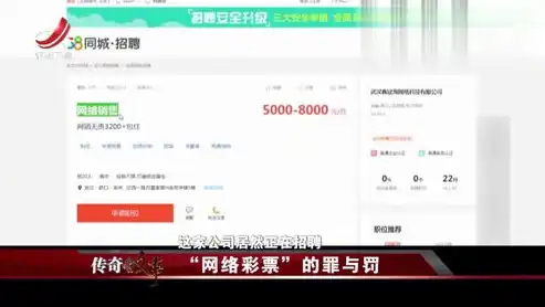 网络迷雾，揭秘无法访问网站背后的真相与应对策略，浏览器突然无法访问网站