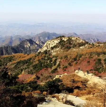 探索自然之美——走进我国五岳之首泰山，标题关键词描述的写法是什么