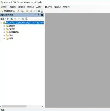 Win2008服务器网络访问保护服务未启动，排查与修复全攻略，windows server2008网络服务器配置