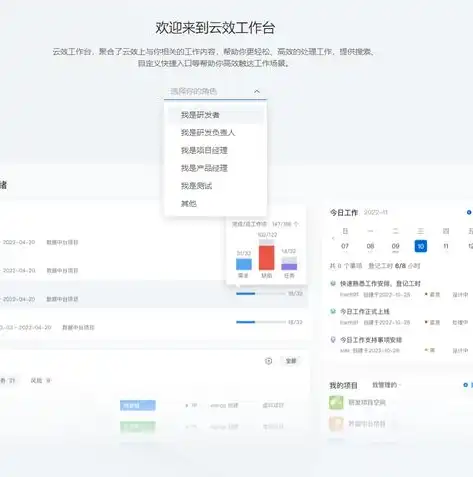 揭秘云管理软件领域，代码行级占比低于10%的企业的独特优势与挑战