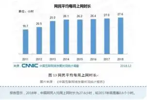 中国互联网络信息中心网站，我国互联网发展的晴雨表与风向标，中国互联网络信息中心网站第53次人数