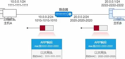 深入解析存储器，揭秘信息世界的基石，外部存储器是什么