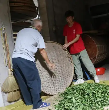 茶香悠长，源码揭秘，探寻茶文化网站背后的秘密，茶叶网站模板