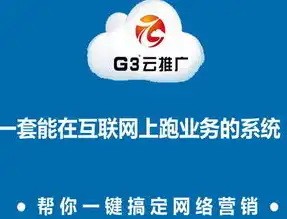 揭秘秦皇岛SEO专家，如何助力企业提升网络曝光度，秦皇岛最大的网络推广公司