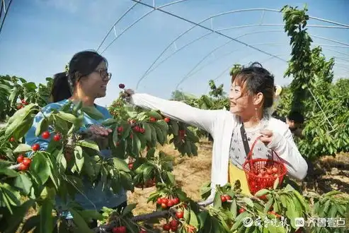 红酒之旅——独家红酒网站源码大放送，打造您的专属红酒在线商城！，红酒网站源码下载大全