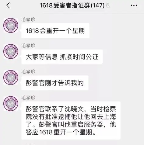 全球视野下的域名网站，解析其发展历程与未来趋势，国外域名网站为什么打不开