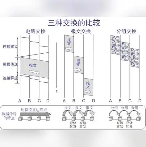 计算机网络技术与软件技术，就业前景对比及职业规划建议，计算机网络技术和软件技术哪个好就业