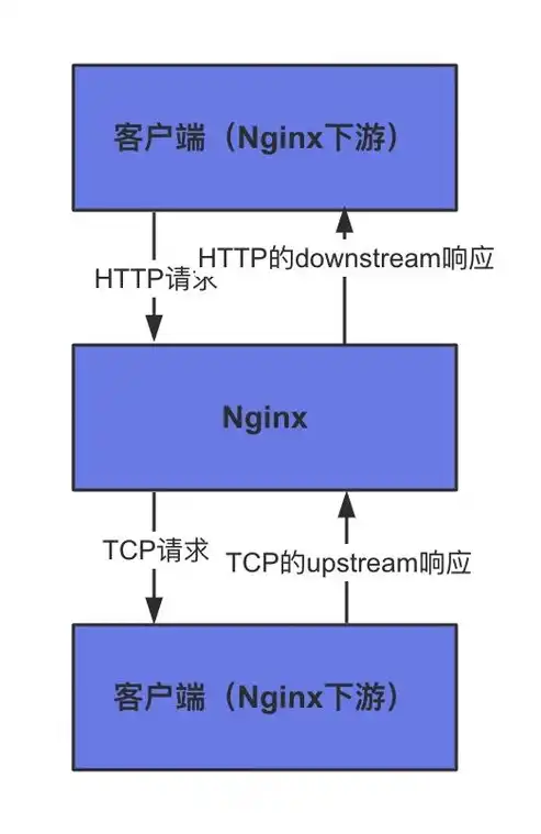 深入解析服务器组成，全面了解服务器包含的元素，服务器包括什么东西