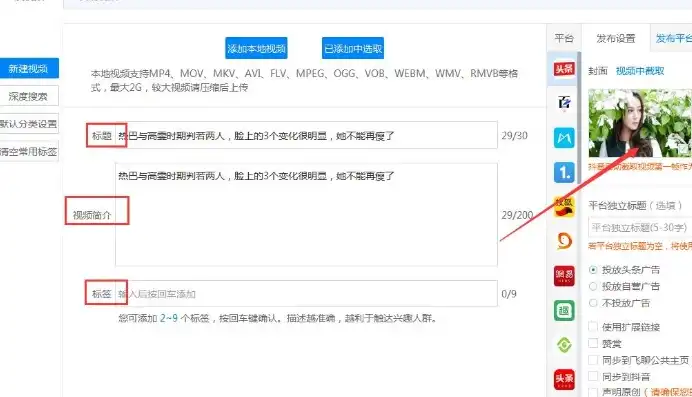 揭秘上传视频网站源码，打造个性化视频分享平台的秘密武器，上传视频网站源码是什么