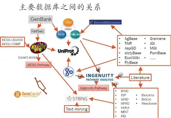 数据仓库五层架构的内在关系及其协同作用解析，数据仓库五个层之间的关系是什么