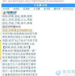 深入解析wap网站源码.net，揭开WAP网页开发的新篇章，wap网游源码
