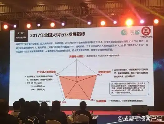 揭秘自贡SEO行业佼佼者——19火星公司，助力企业腾飞之路！，自贡网红火锅店