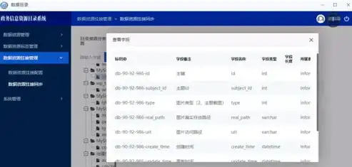 深入剖析政府网站源码，解码政务信息现代化的秘密武器，源码网违法吗