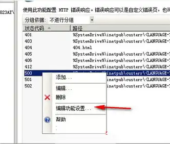 揭秘服务器500错误，原因分析及应对策略，服务器报500错误原因是为啥