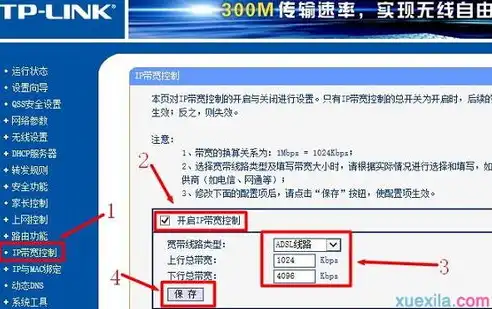 揭秘查网站服务器IP遭遇封禁之谜，原因、应对策略及预防措施，如何查询网址的服务器ip地址