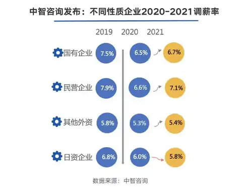 揭秘企业网站建设费用，影响因素与合理预算解析，企业网站建设费用如何入账