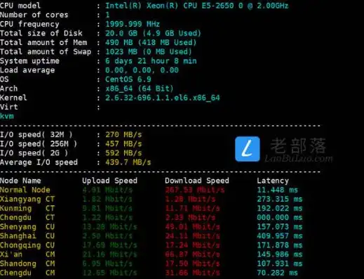 深入剖析Linux系统VPS服务器的优势与配置技巧，vpslinux使用教程