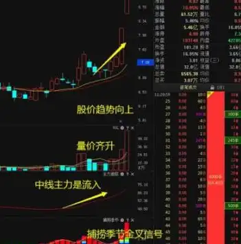 深度解析，网站源码的导入方法及技巧，怎么导入网站源码信息