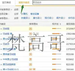 深入解析租用服务器流量，提升网站访问速度与用户体验的关键策略，租用服务器流量怎么算