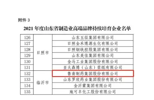 平度企业如何通过专业网站提升品牌影响力与市场竞争力，平度网络公司