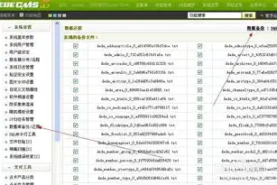 深度解析Dede网站源码，揭秘开源CMS系统的核心奥秘，dedecms源码