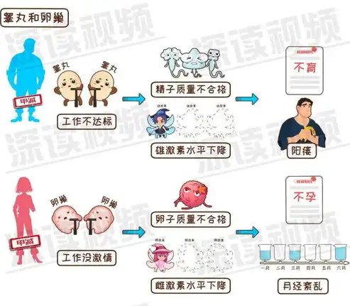 深入解析不孕不育网站源码，功能特点与开发要点揭秘，不孕不育网站群