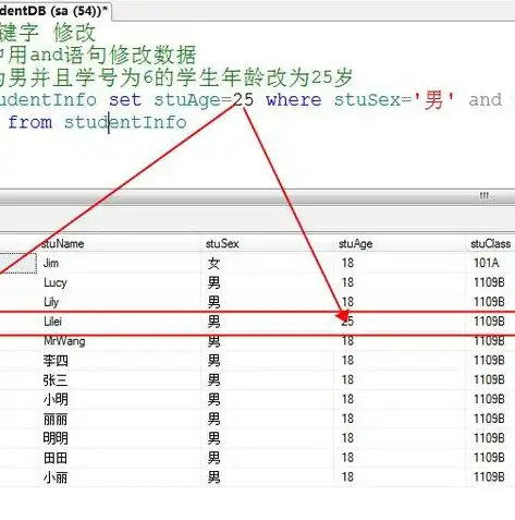 深度解析，标准SQL语句在关系数据库系统中的广泛应用与优势，目前关系数据库的标准语言是